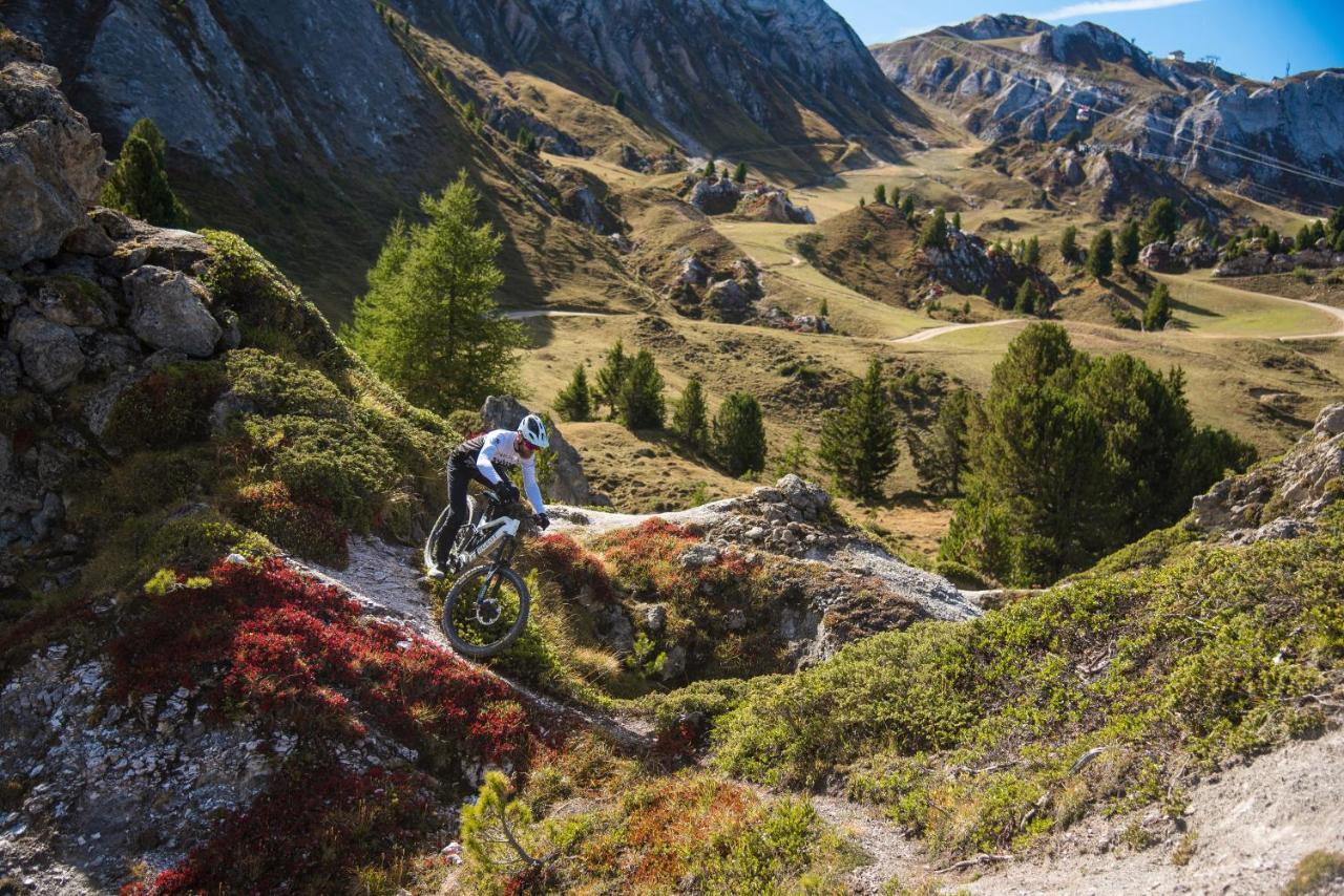 Apartament Chalet Bouquetin- Aigle Royal La Plagne Zewnętrze zdjęcie